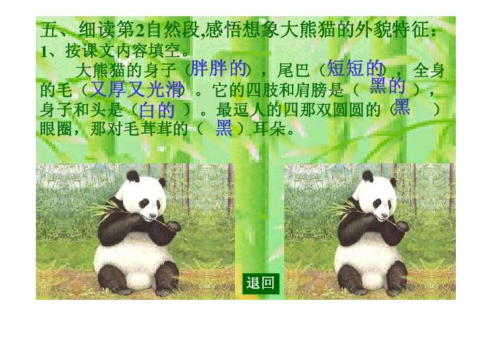 大熊猫ppt - 一年级- 21世纪教育
