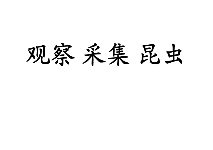 课件预览