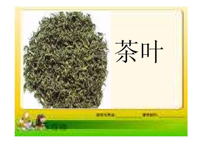 课件预览