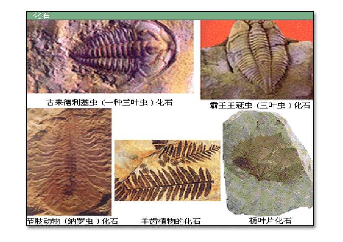 课件预览