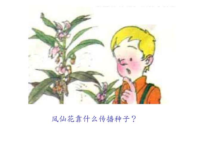 3,情感态度:使学生了解文中介绍的几种植物传播种子的方法,激发