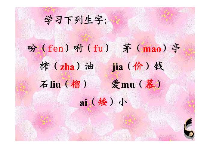 落花生ppt