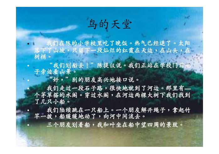 鸟的天堂ppt