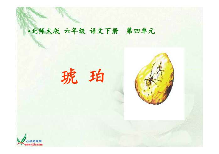 琥珀ppt