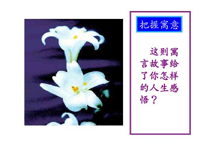 折纸百合花教案格式_折纸百合花教案格式_表格式教案卡片式教案区别