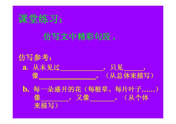 课件预览
