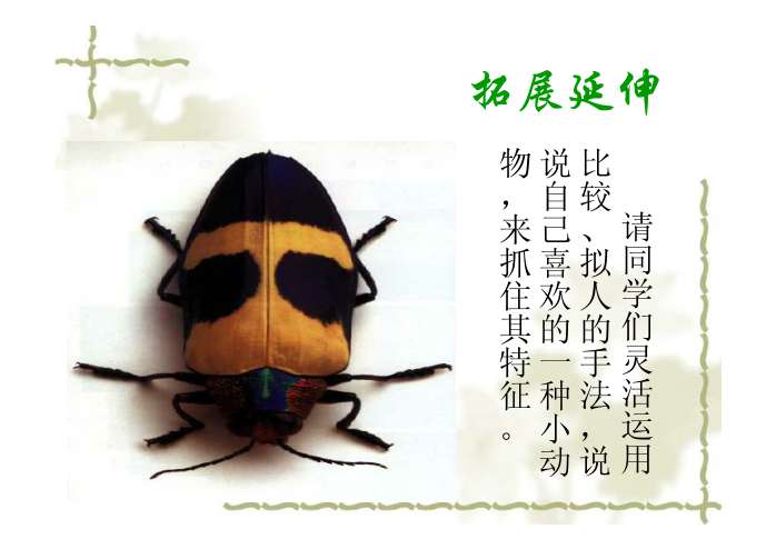 绿色蝈蝈ppt教学课件 - 课件制作技巧- 21世纪教育