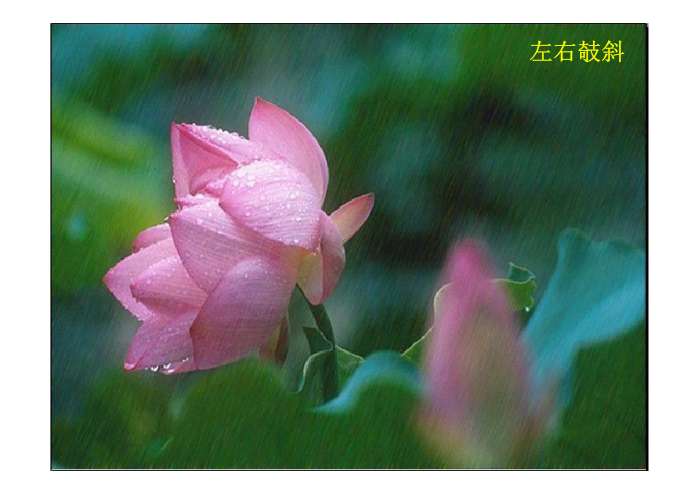 荷叶母亲PPT - 课件制作技巧- 21世纪教育