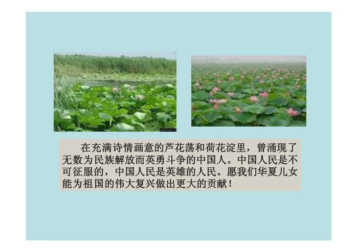 芦花荡ppt