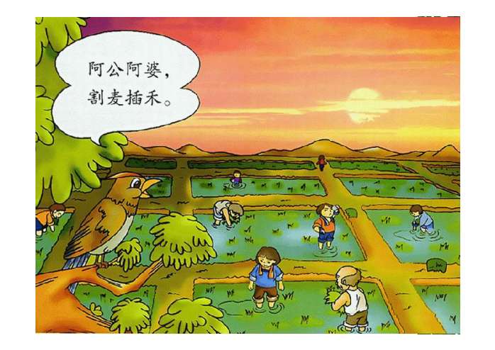 大自然的语言ppt