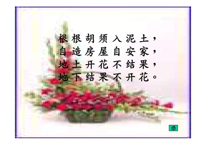 落花生文章 花生英文 Maybeda