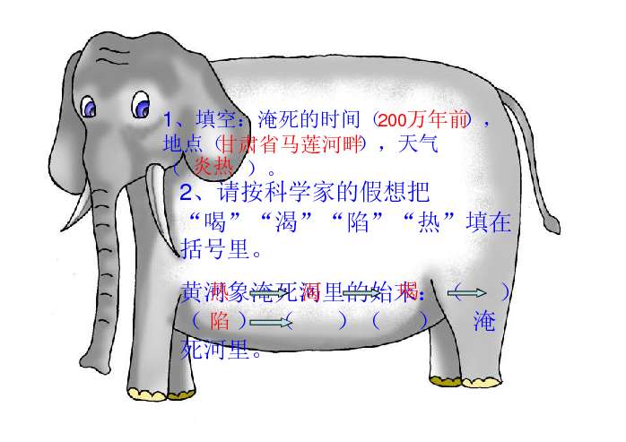 黄河象的资料图片