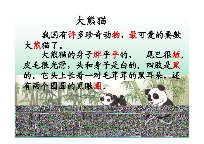 大熊猫外貌的描写图片