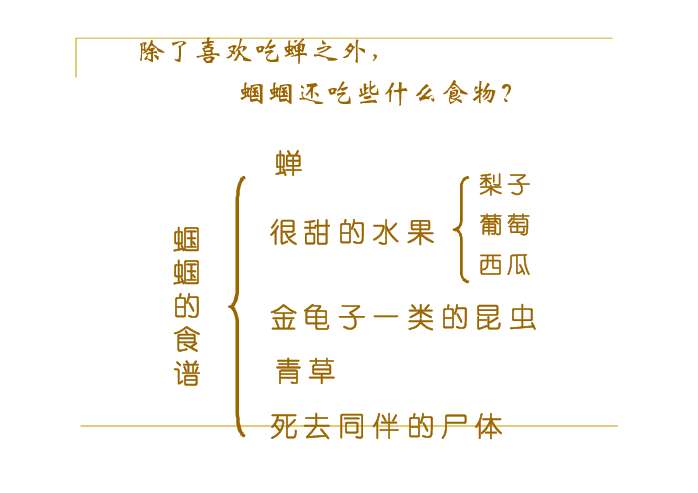 绿色蝈蝈ppt课件