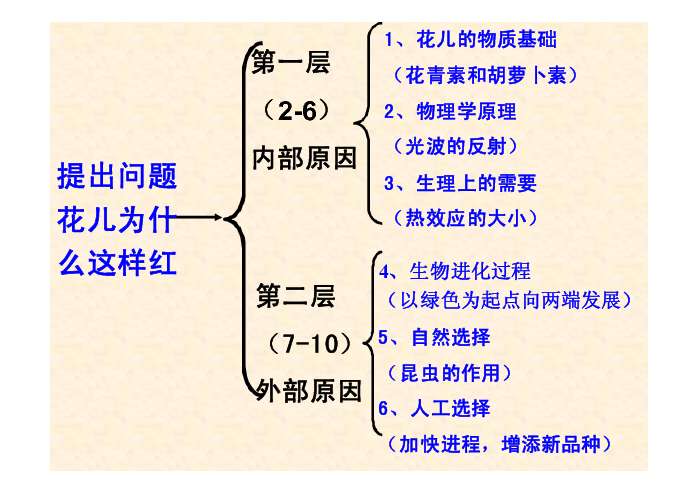 花儿为什么这样红ppt