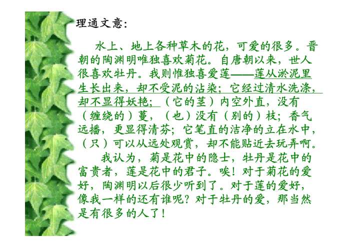 爱莲说简谱_爱莲说思维导图(2)