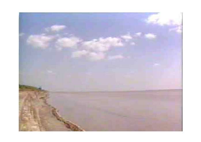 观潮简谱_观潮思维导图